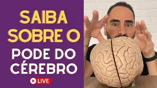 O QUE VOC&Ecirc; SABE SOBRE O PODER DO C&Eacute;REBRO E COMO ELE PODE AJUDAR NA SUA VIDA! LIVE #78