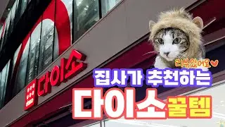 [다이소] 두번 다녀와서 하는 리뷰