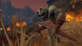 BFA AE 2063 Breaking Hag