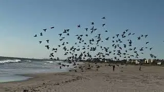Cold Weather in Cocoa Beach Florida 