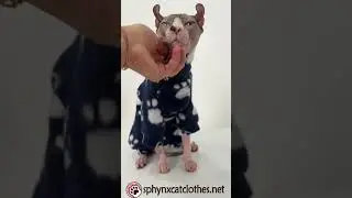 Cozy Fleece Cat Onesie | Ultimate Warmth & Style for Your Kitty! #CatFashion #PetClothing