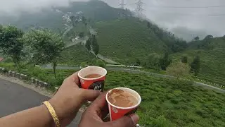 first tea garden explore 🤗😍 #darjeeling #teagarden #india #traveling #darjeeling_tour