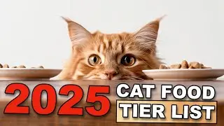 2025 Cat Food Rankings: Best Brands by Region (US/EU/Asia) | CATZILLA LAB