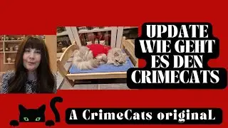 Update wie geht es den Crimecats und ein Gro&szlig;es Dankesch&ouml;n f&uuml;r eure Anteilnahme