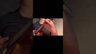 Daddy, why did you eat my fries (Fries song cover) #adventuretime #marceline #ukulelecover