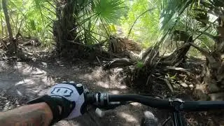 Hillsborough MTB Trail at Northport, Florida August 2021