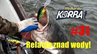 5 SPOSOB&Oacute;W NA... brak brań ryb + szczupaki na upatrzonego, Wędkarska Korba #31