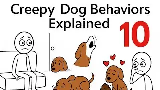 10 Creepiest Dog Behaviors Finally Explained