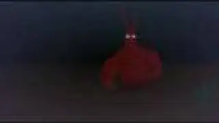 Juanita the Spanish Lobster - Part Three