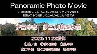 【Panoramic Photo Movie┃伊豆半島】伊豆山稜線歩道　魂ノ山　宇久須峠　風早峠　仁科峠　仁科峠展望台　2025.11.23撮影　パノラマ写真動画B