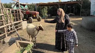 ربنا كرمني وسخّرني لعمل الخير من حبه ربه حبب وسخر له عبده اللهم أجعل لنا القبول بين خلقك 