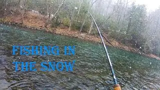 Fishing in the Snow - JUMBO Brownies on Penns Creek