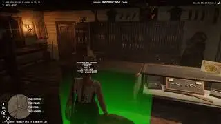 TPN Westworld RP - RedM - Red Dead Redemption 2 Roleplay Server