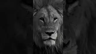 You will google how to stop crying #motivation #shortvideo