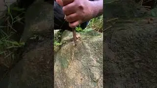 Gold-Colored Crystal Vein Found! We Cracked It Open! 🔨💎