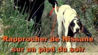 Rapprocher de Nissane sur un pied du soir !