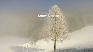 Frozen Mist Flow | Snow Silence & Breath of Winter ❄️눈 안개 속에서 숨처럼 흐르는 겨울 풍경