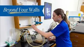 Beyond Four Walls - Maura Melear - Biology Major