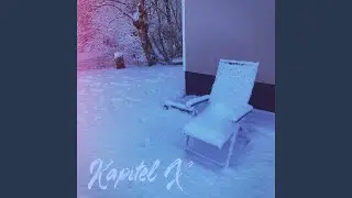 Kapitel X