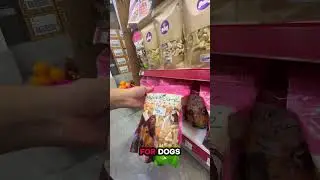 Зоомагазин Mr Pet Store - недорогие корма и аксессуары для собак, кошек и мелких животных #зоомаг...