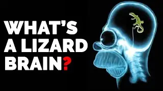 The Reptilian Brain: And Why It Is Important In Marketing