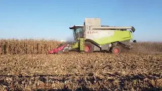 Corn harvest 2020 Claas Lexion 550 and 570