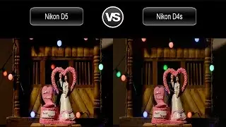 Nikon D5 vs Nikon D4S Video Test