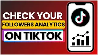 How To Check Your TikTok Followers Analytics 2025