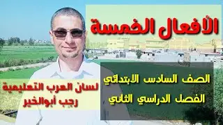 الأفعال الخمسة/ للصف السادس الابتدائي ـ الفصل الدراسي الثاني/ لمراحل التأسيس في النحو
