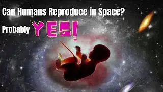 Can humans reproduce in space? Probably Yes!