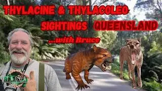 Thylacoleo and Thylacine sightings Queensland with Bruce #thylacoleo #thylacine #terrifyingtales