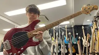Ernieball Musicman / Sterling Red【Test Play】