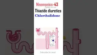 Chlorthalidone prevents new kidney stones  Pharm mnemonics-43
