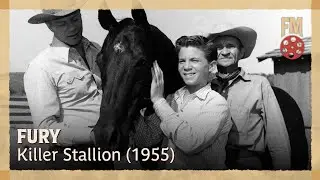 Fury (1955) | Season 1 | Episode 2 | Killer Stallion | Peter Graves