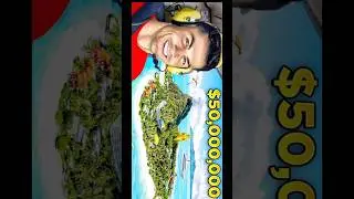 I Bought a $50,000,000 Private Island 😱 #LuxuryIsland#50Million#RichLife#Helicopter#luxurychallenge
