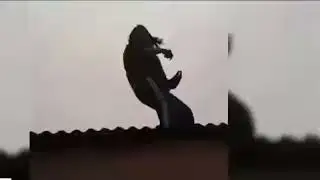 Funny girls fail | Compilation | Girls funn