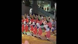 #awaodori #awadance #祭り #日本祭典 #夏祭り #夏祭り #お祭り