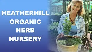 MyQuest - Видеоблог о питомнике трав Heatherhill
