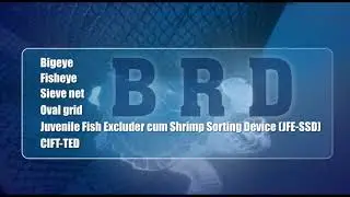 Устройство для сокращения прилова BRD