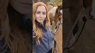 Come with me to treat my horses 🐎 and donkey🫏 for thrush!! #horsecare #horsegirl #equinecare #donkey