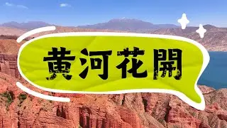 黃河花開-邂逅桃梨櫻杏、賞青海湖與茶卡鹽湖的春天、塔爾寺酥油花、西寧8天之旅