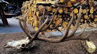 SOLO 2025 UTAH LE BIG BULL HUNT 
