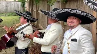 Mariachi Los Mensajeros Del Sur De Humberto Guzman - Sorpresa Para Novia D.M.V.