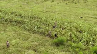 Beginning Tactical Tracking: Team Movement