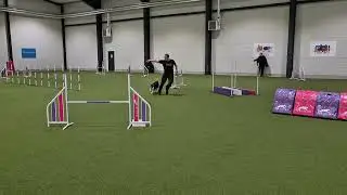 Hopp Nytt &Aring;r - Agility Hoppklass 3C - Daniel och Vilgot