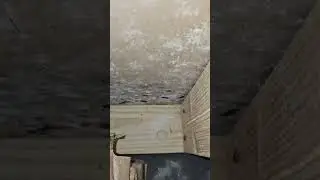 Cincinnati Home Inspections mold