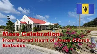 4th Sunday of Ordinary Time - Sacred Heart BB | 1st February 2026