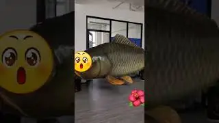 Big🔥🔥Remote control flying air balloon shark fish toy 🤗🤗🤗🤗🤗💕💕💕#short