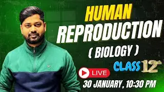 CLASS 12  BIOLOGY  :  HUMAN REPRODUCTION - CONCEPT & PYQS
