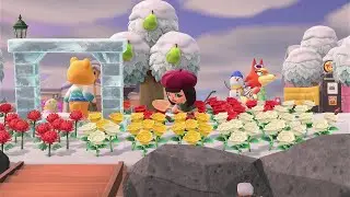 ACNH day 22! Happy Home Paradise and island chores.